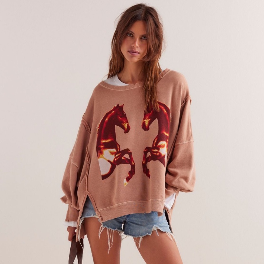 NEW Free People Graphic Camden Pullover Sweatshirt - Picture 4 of 7